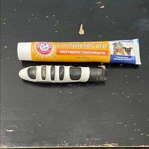 Arm & Hammer CompleteCare Enzymatic Toothpaste for Dogs - Orange